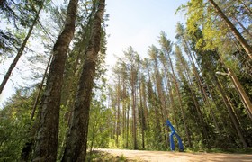 Шатер у озера - корпоративы