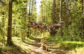 Шатер у озера - корпоративы