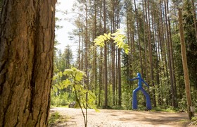Шатер в лесу - корпоративы