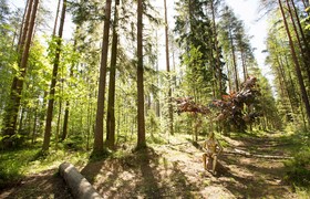Шатер в лесу - корпоративы